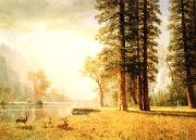 Albert Bierstadt Hetch Hetchy Valley oil on canvas